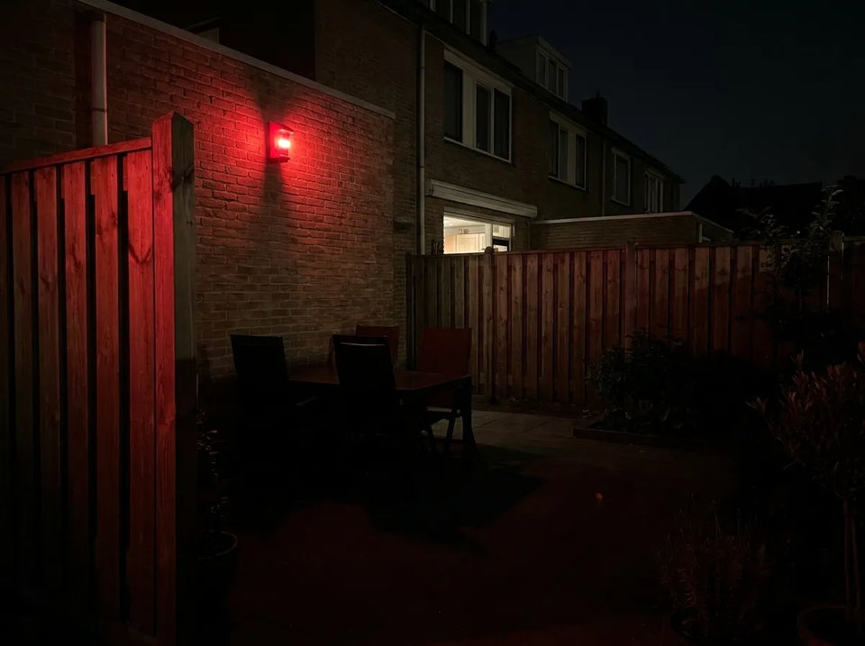 Jardin sombre derrière la maison ?